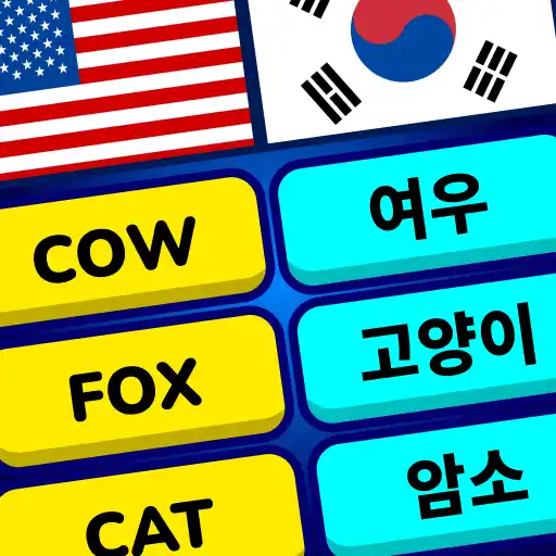 MomoLingo: 영어와 다양한 언어 공부